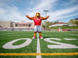 Rocky standing on the football field.